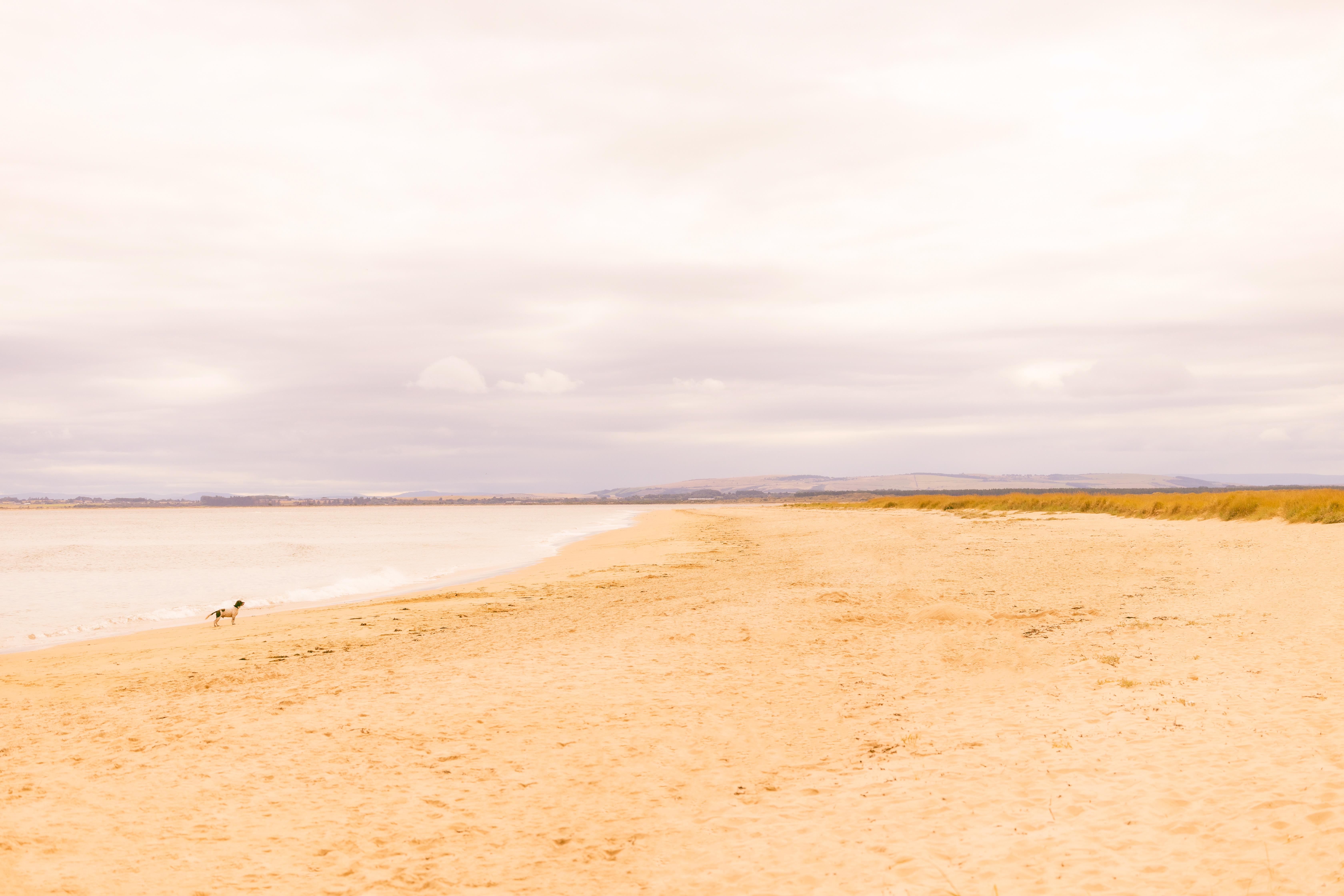 Dornoch Station Hotel Bagian luar foto The beach at West Bay